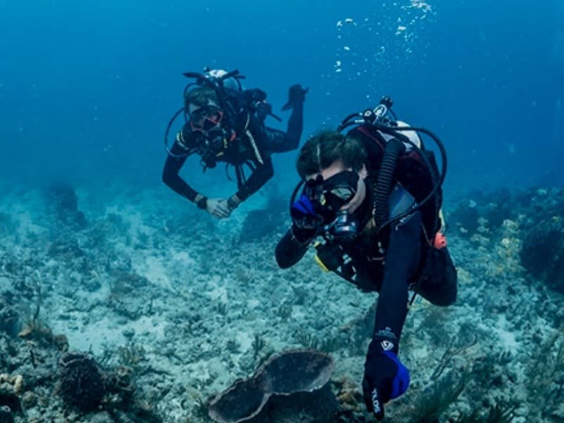 دورة PADI Divemaster