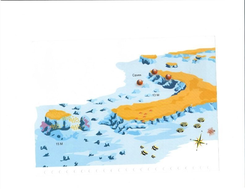 Дайв-сайт Banana Reef, Красное море
