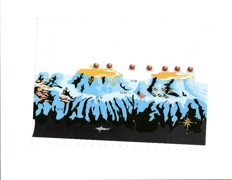 Дайв-сайт Carless Reef, Красное море