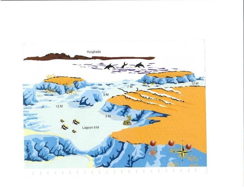 Дайв-сайт Fanous West, Красное море