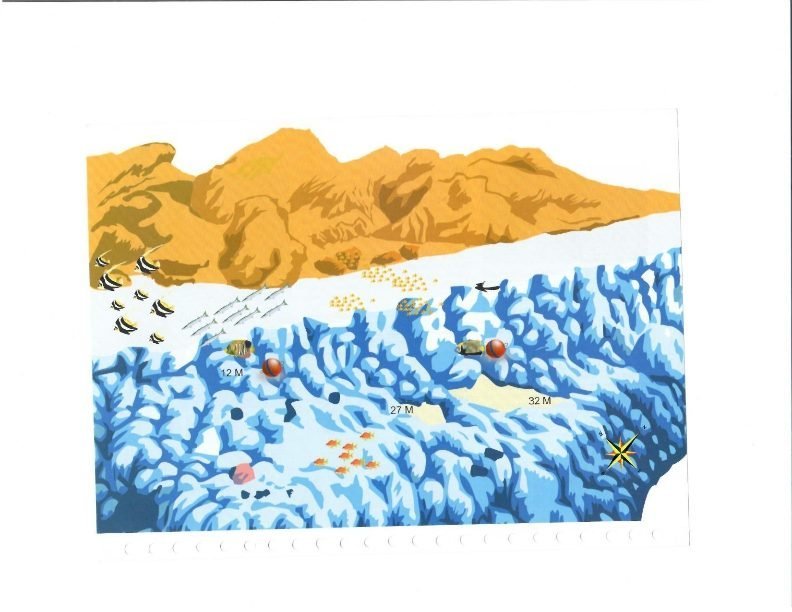 Дайв-сайт Hamda, Красное море