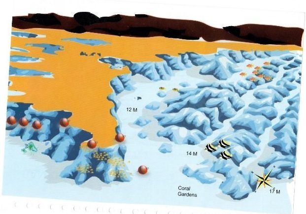 Дайв-сайт Shaab Sabrina, Красное море