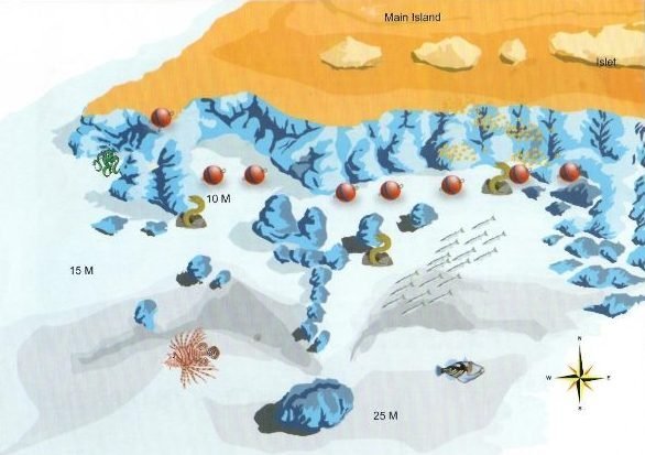 Дайв-сайт South Abu Ramada, Красное море